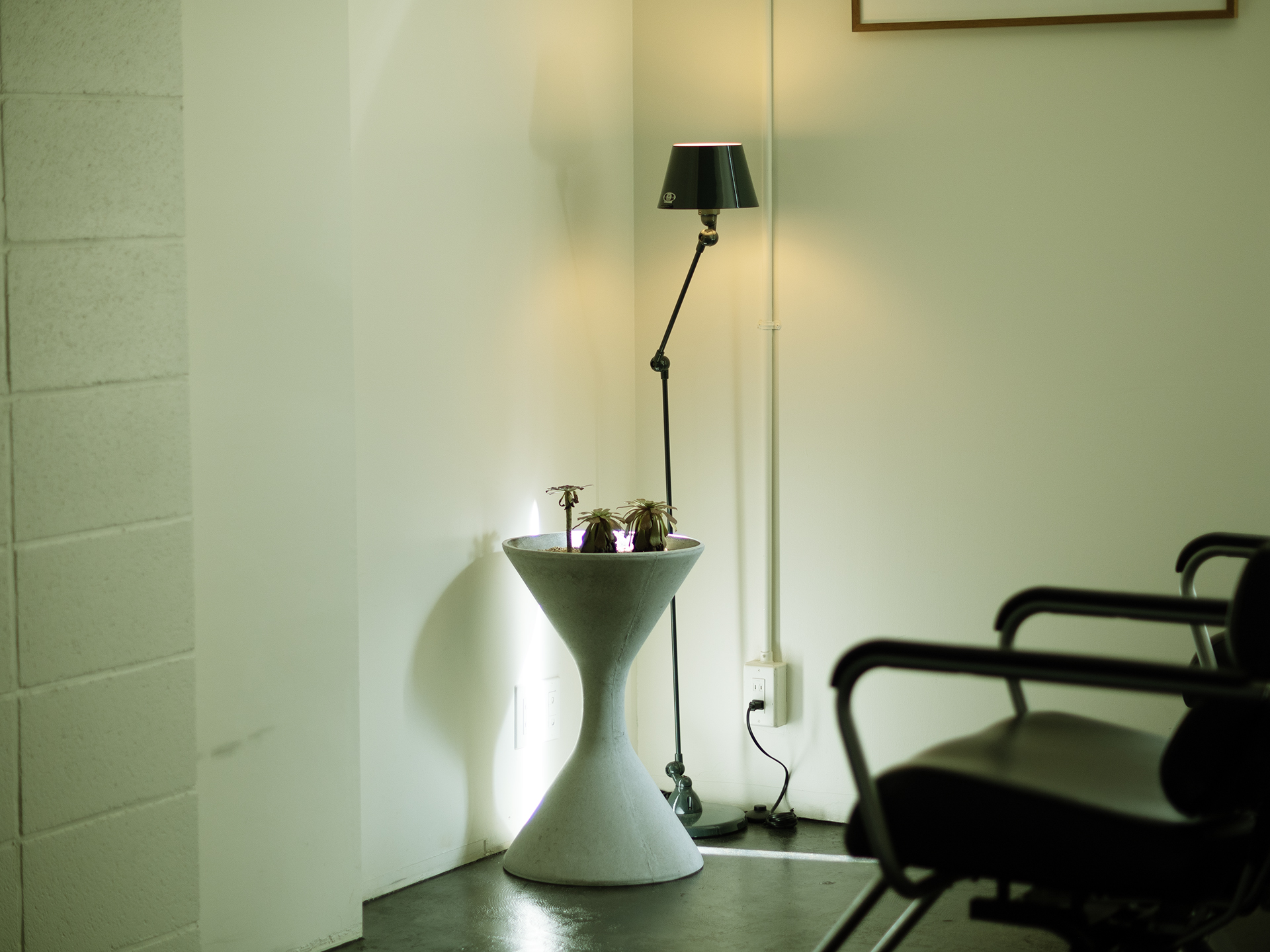 VATREEの店内風景 フロアライトと植木鉢