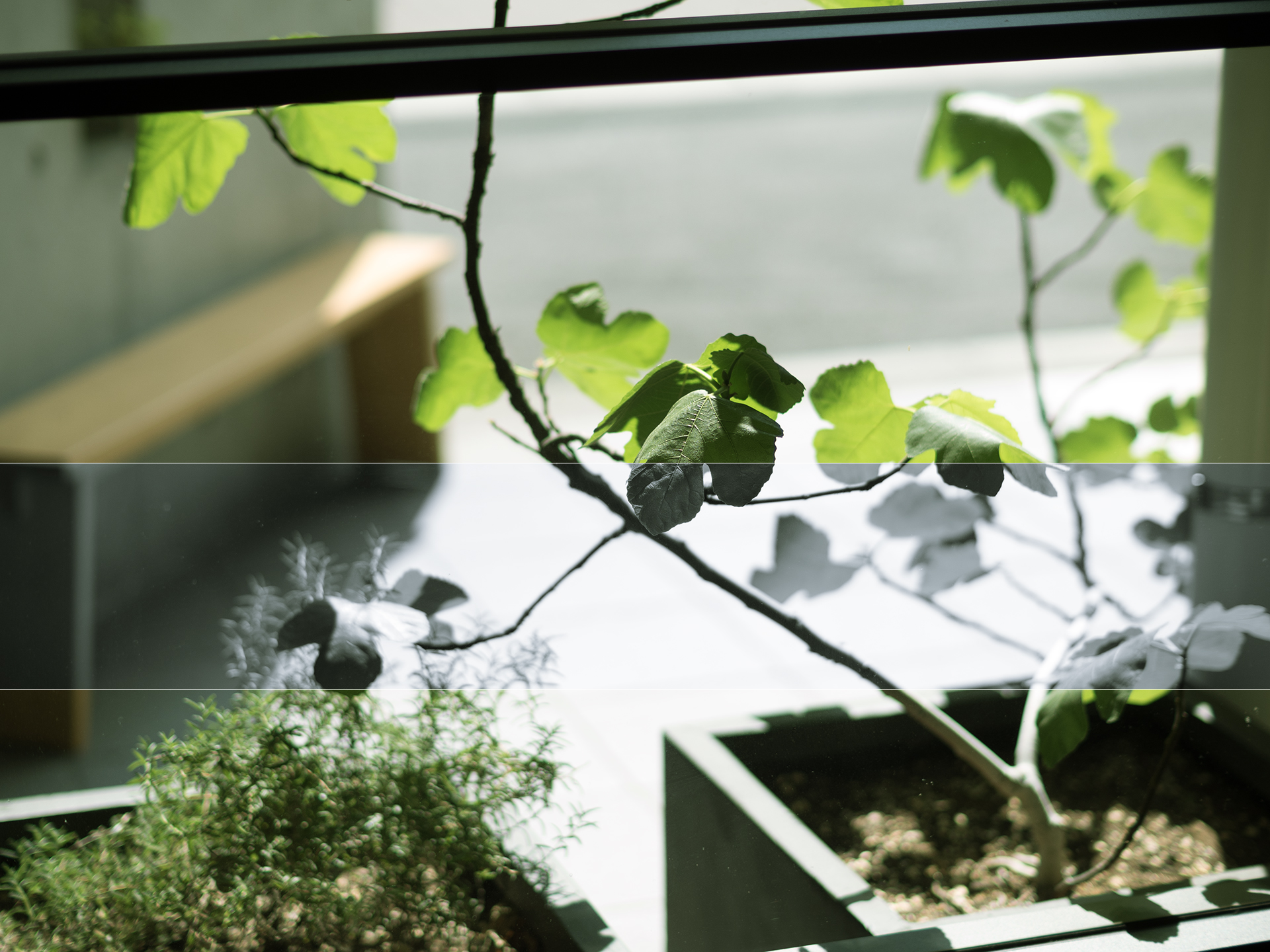 窓から見える外の植物とベンチ