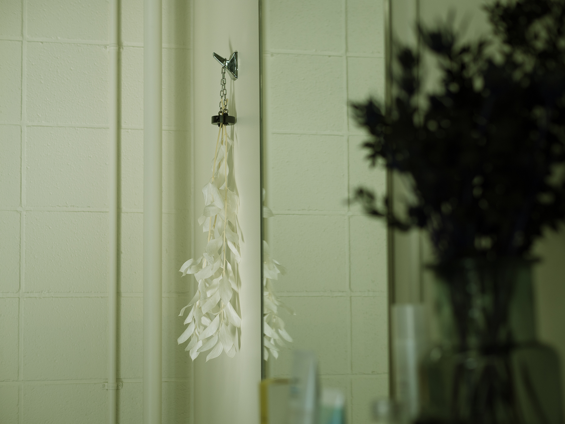 VATREEの店内風景 壁に吊るされたドライフラワー